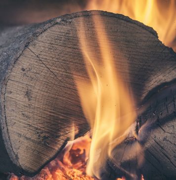 WoodMonkeys - Firewood