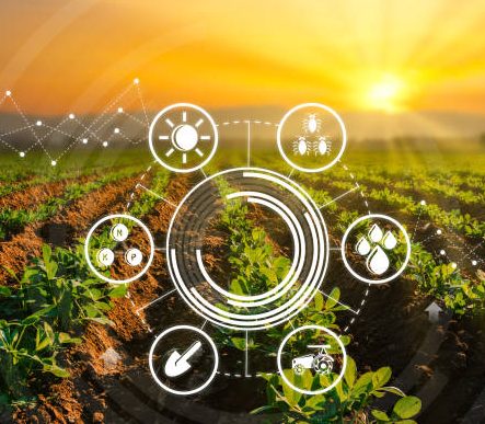 The Benefits Of Digital Transformation In The Agricultural Industry