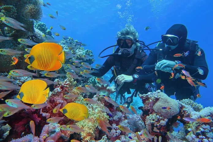 The Scuba Club: Discover Scuba Diving Adventures in Gauteng’s Hidden Waters